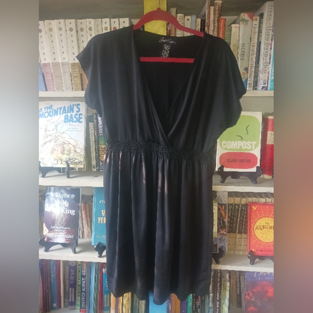 Susie Rose XL Dress